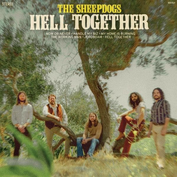 Album afbeelding 1 van 1