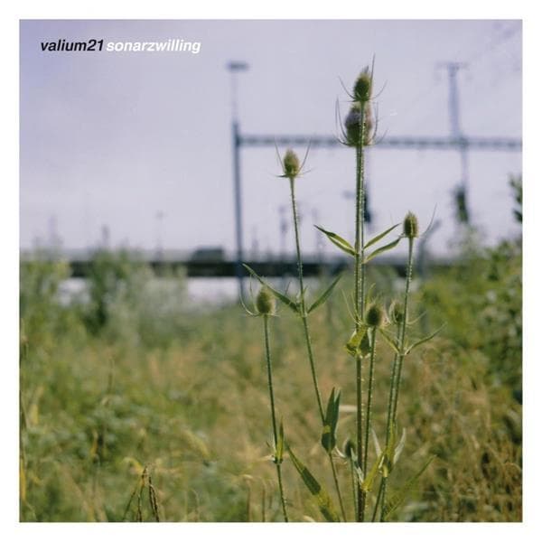Album afbeelding 1 van 1