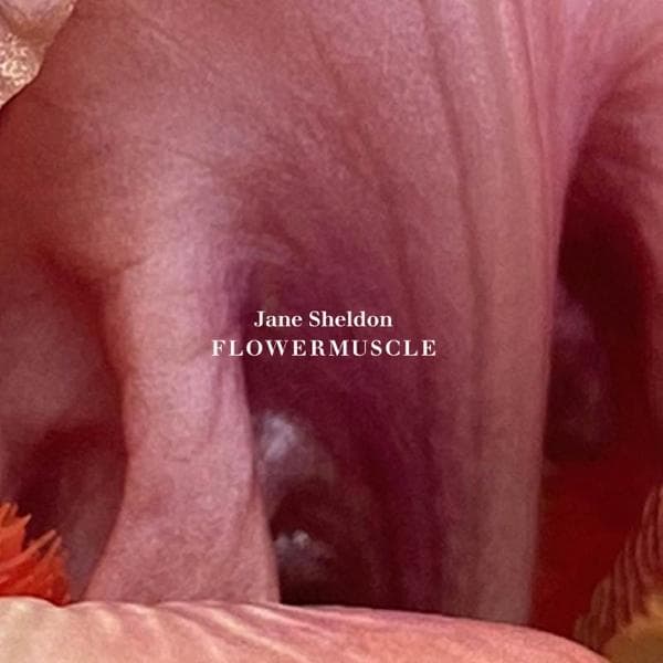 Album afbeelding 1 van 1