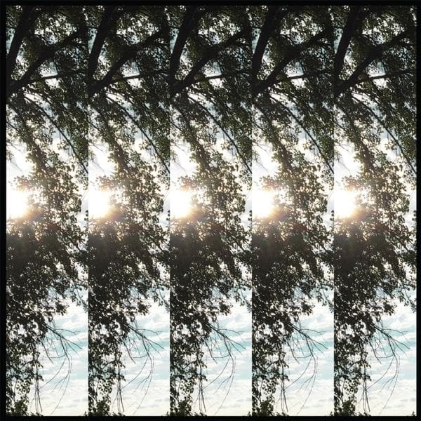 Album afbeelding 1 van 1