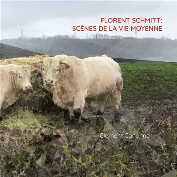 Album afbeelding 1 van 1