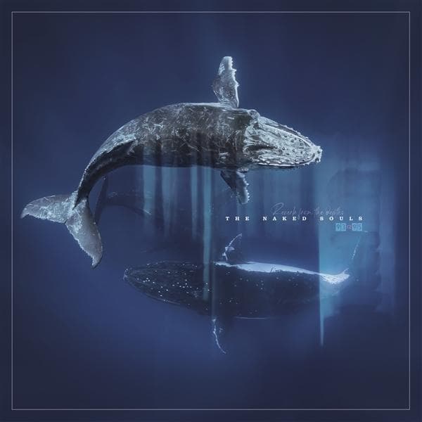 Album afbeelding 1 van 1