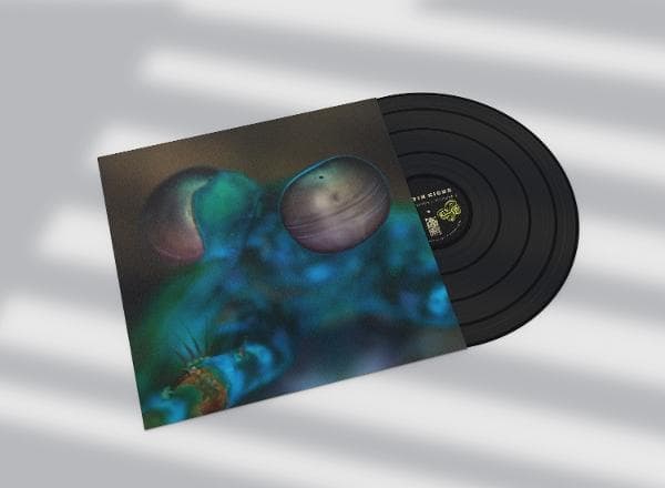 Album afbeelding 2 van 2