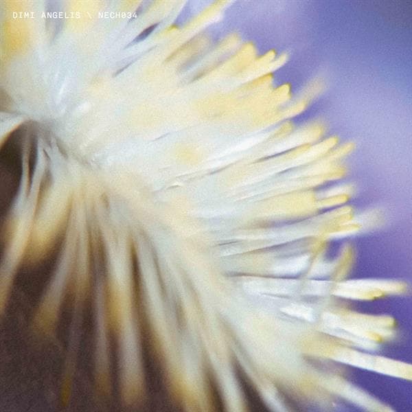 Album afbeelding 1 van 1