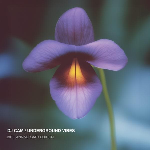 Album afbeelding 1 van 2
